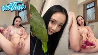 คลิปหลุด jennypinky onlyfans น้องเจนนี่นางแบบสาวจีนดาวโอนลี่แฟนคนดัง น่าคมๆสวยๆหุ่นโครตเป๊ะหัวนมชมพู หีเนียนๆชมพูมาเลย ใส่ชุดไหมพรมแหวกอกโชว์หีเนียนๆเทเควายใส่ไข่สั่นแหย่หีซอยหีรัวๆจนน้ำหีแฉะเยิ้ม